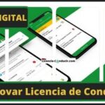 Renovar Licencia de Conducir Puerto Rico en Cesco Digital