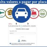 ▷ Valores de Matrícula SR【[year]】✔️ ® Consultar Valores a pagar Matrícula ANT