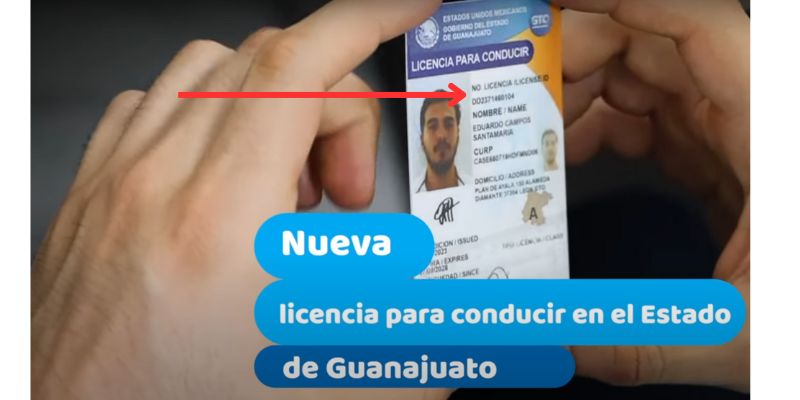 Cual es el número de licencia de conducir Guanajuato