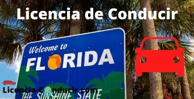 LICENCIA DE CONDUCIR EN FLORIDA