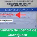 cual es el número de licencia de conducir en GUANAJUATO
