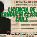 Licencia de Conducir Clase B
