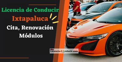 Licencia de Conducir Ixtapaluca Cita, Renovación, Módulos