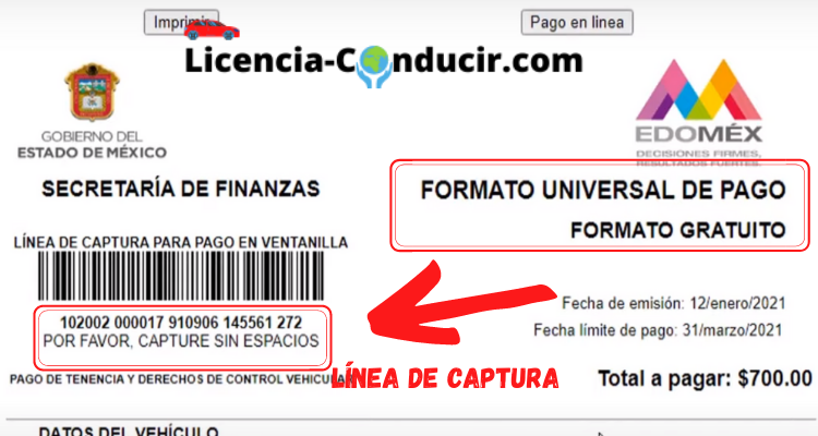 linea de captura edomex