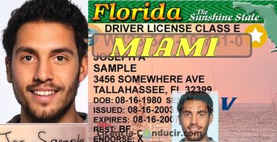 LICENCIA DE CONDUCIR MIAMI