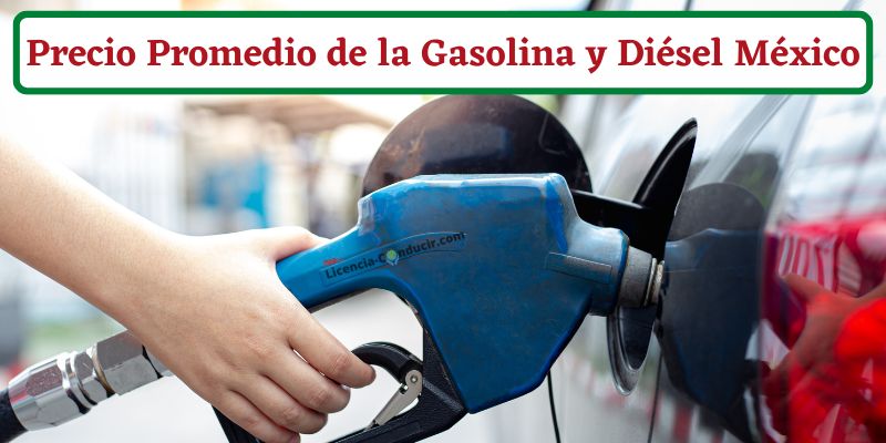Precio Gasolina y Diésel México 28 de agosto 2022
