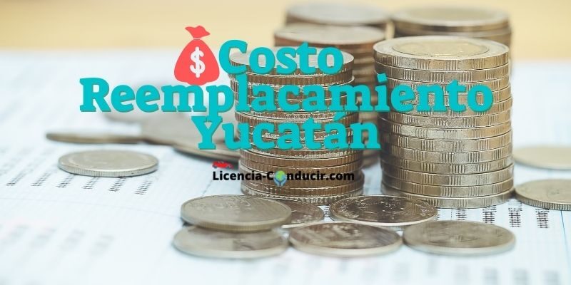 costo reemplacamiento yucatan