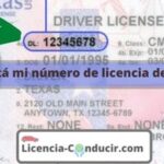 ▷ ¿Dónde está mi número de licencia de conducir?【2022】